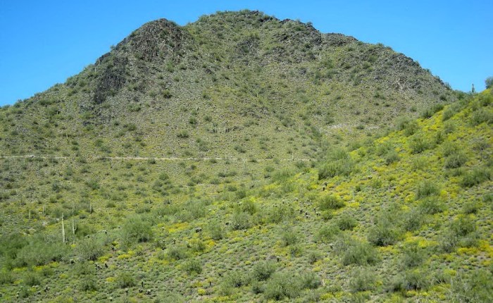 Ultra here I&nbsp;come