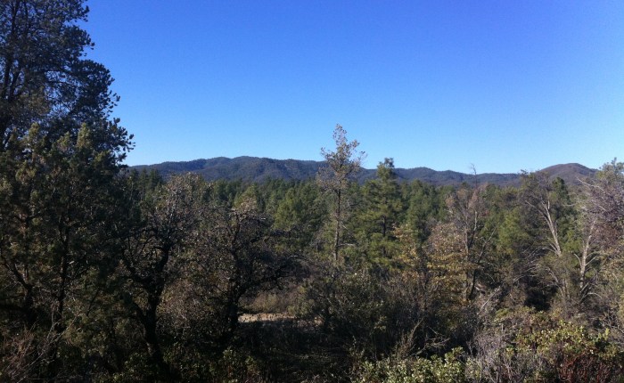 Running Homestead Trail of Lynx&nbsp;Lake