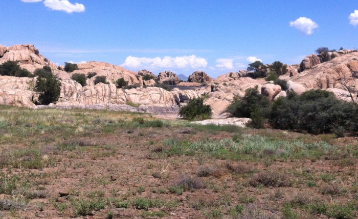 Willow Lake Loop&nbsp;Trail