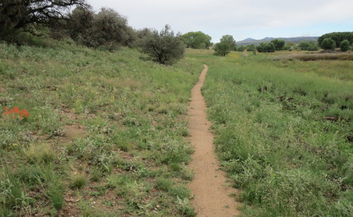 Jan Alfano to Willow Lake&nbsp;Trails