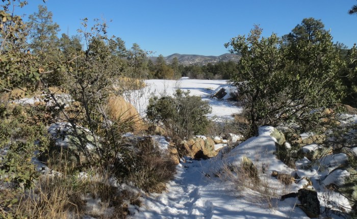 Winter Trail Running