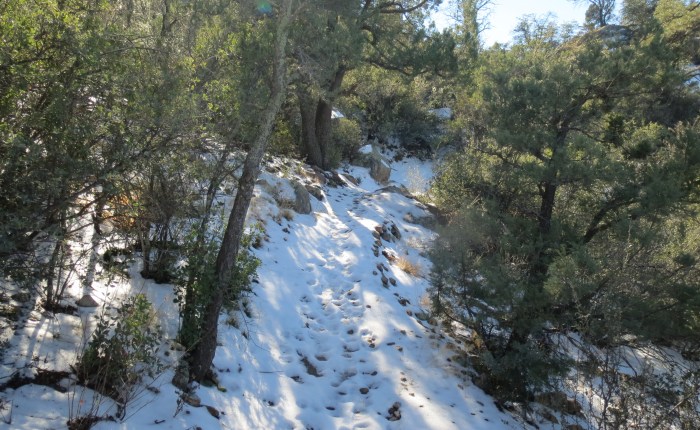 Season of the&nbsp;trail