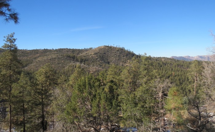 Cold Springs Trail&nbsp;#393