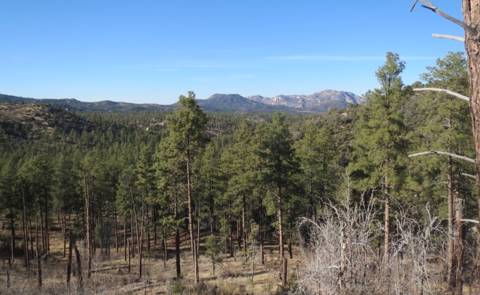 Thumb Butte Bypass Trail #326&nbsp;Loop
