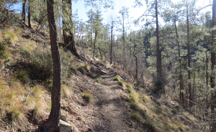 March 17 –&nbsp;23