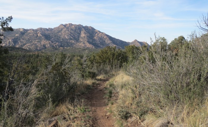 March 24 –&nbsp;30